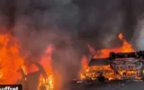 Магазини в Хага се барикадират от страх от протести