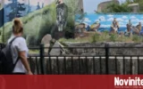 Работещите в софийския зоопарк протестират за по-високи заплати