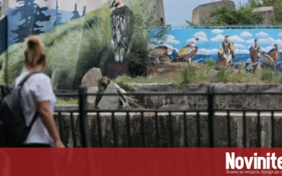 Работещите в софийския зоопарк протестират за по-високи заплати