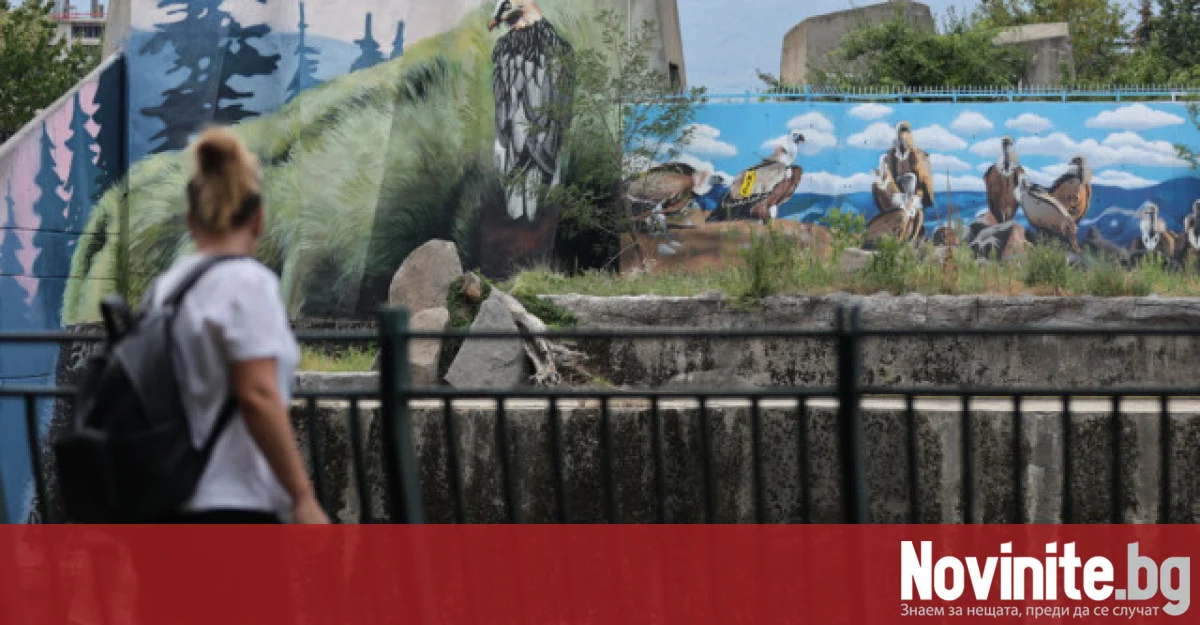 Работещите в софийския зоопарк протестират за по-високи заплати